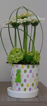 Photo d'un composition de Germinis avec un pot au motif de Pâques