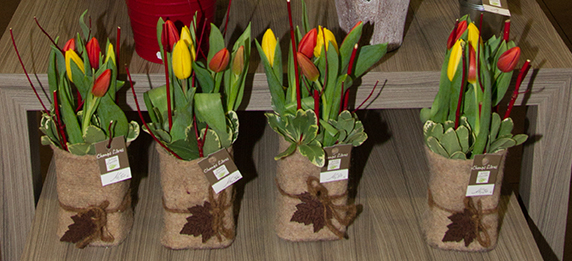 Photo de plusieurs compositions identiques de tulipes multicolores