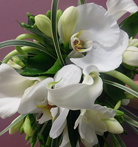  Photo en detail d'un bouquet de fleurs blanches